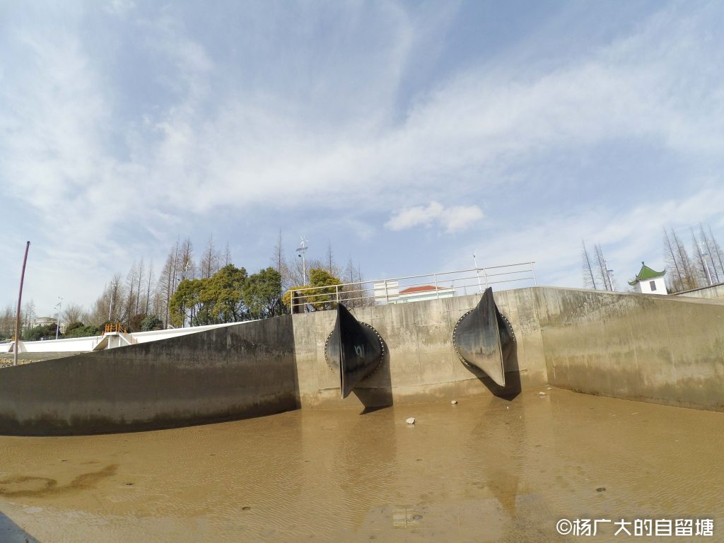 杨广大路亚日志——崇明南门江滩！长江边的一处雨水管道排水口路亚~~