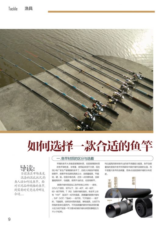 作者：杨