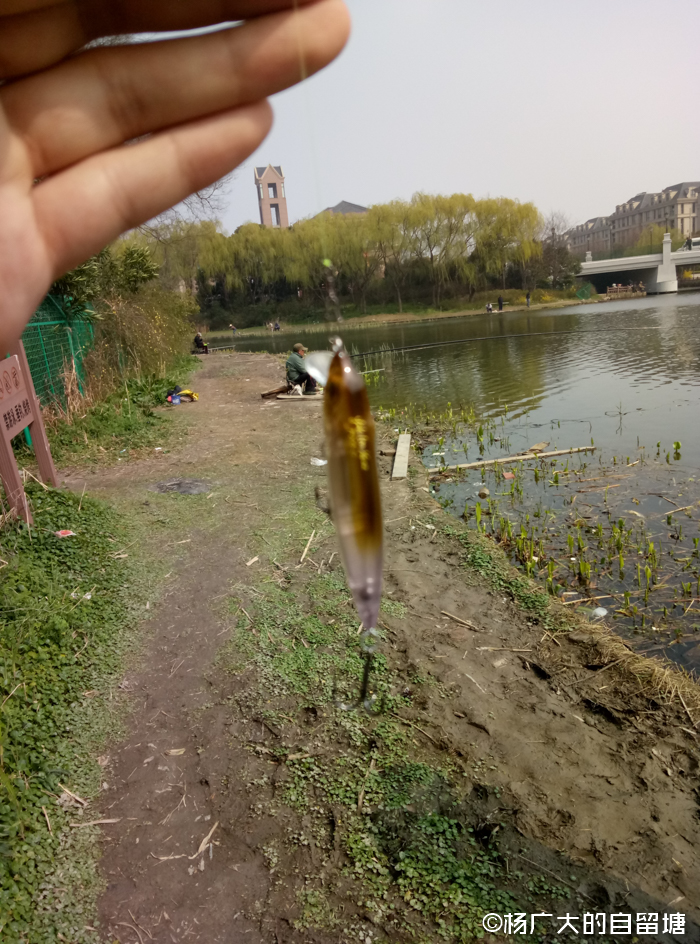 Megabass路亚饵初次下水