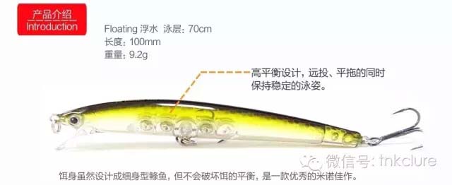Minnow-2