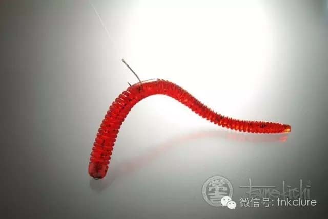 面条虫