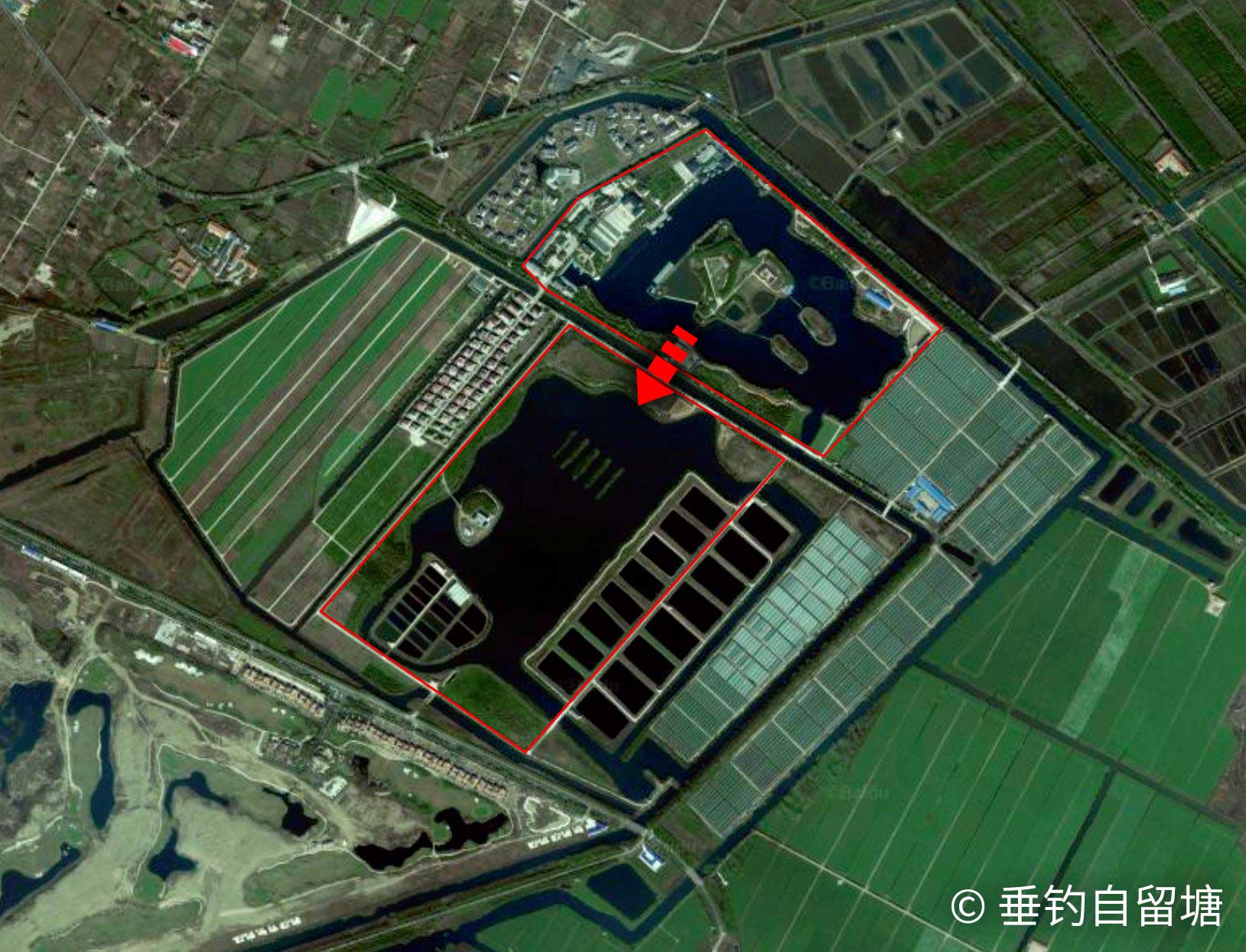 瀛东村路亚探钓之旅——崇明瀛东村东湖景区,追寻巨物的踪迹~-图片4